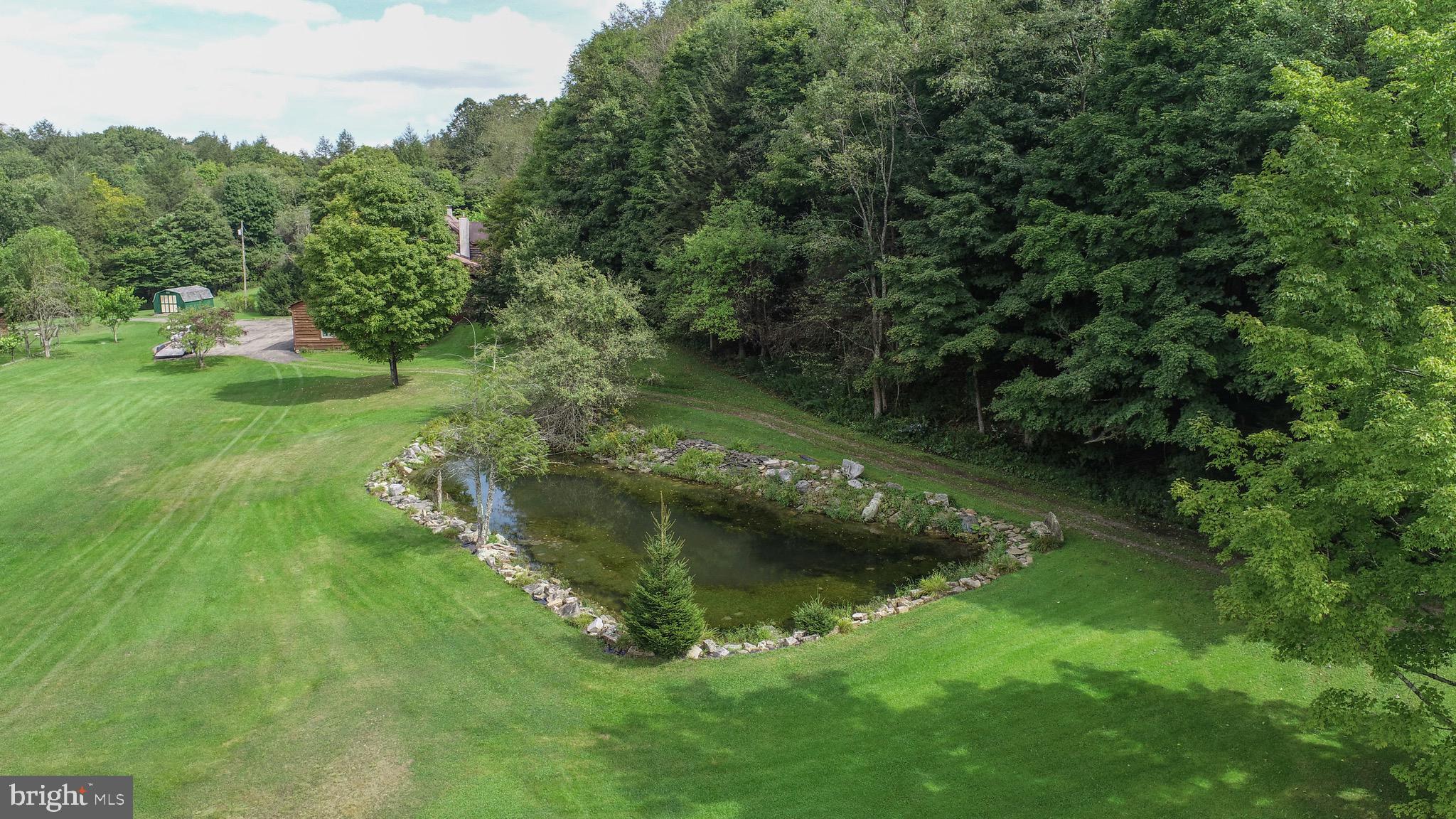 2527 Pigs Ear Road Grantsville, MD 21536 - Photo 46 of 94