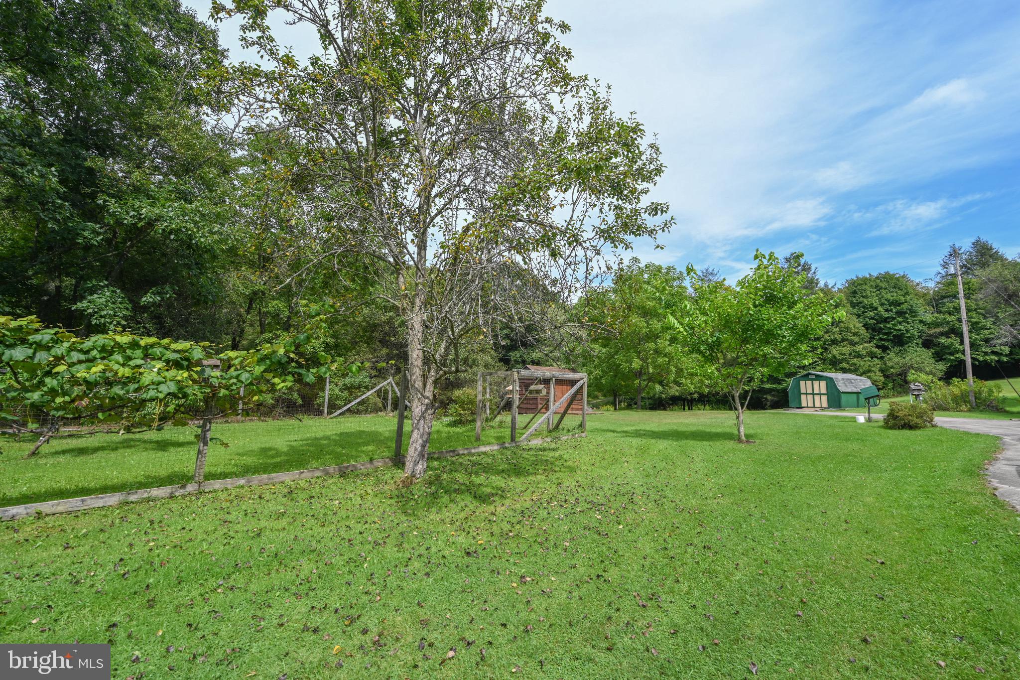 2527 Pigs Ear Road Grantsville, MD 21536 - Photo 61 of 94 a view of a park with large trees