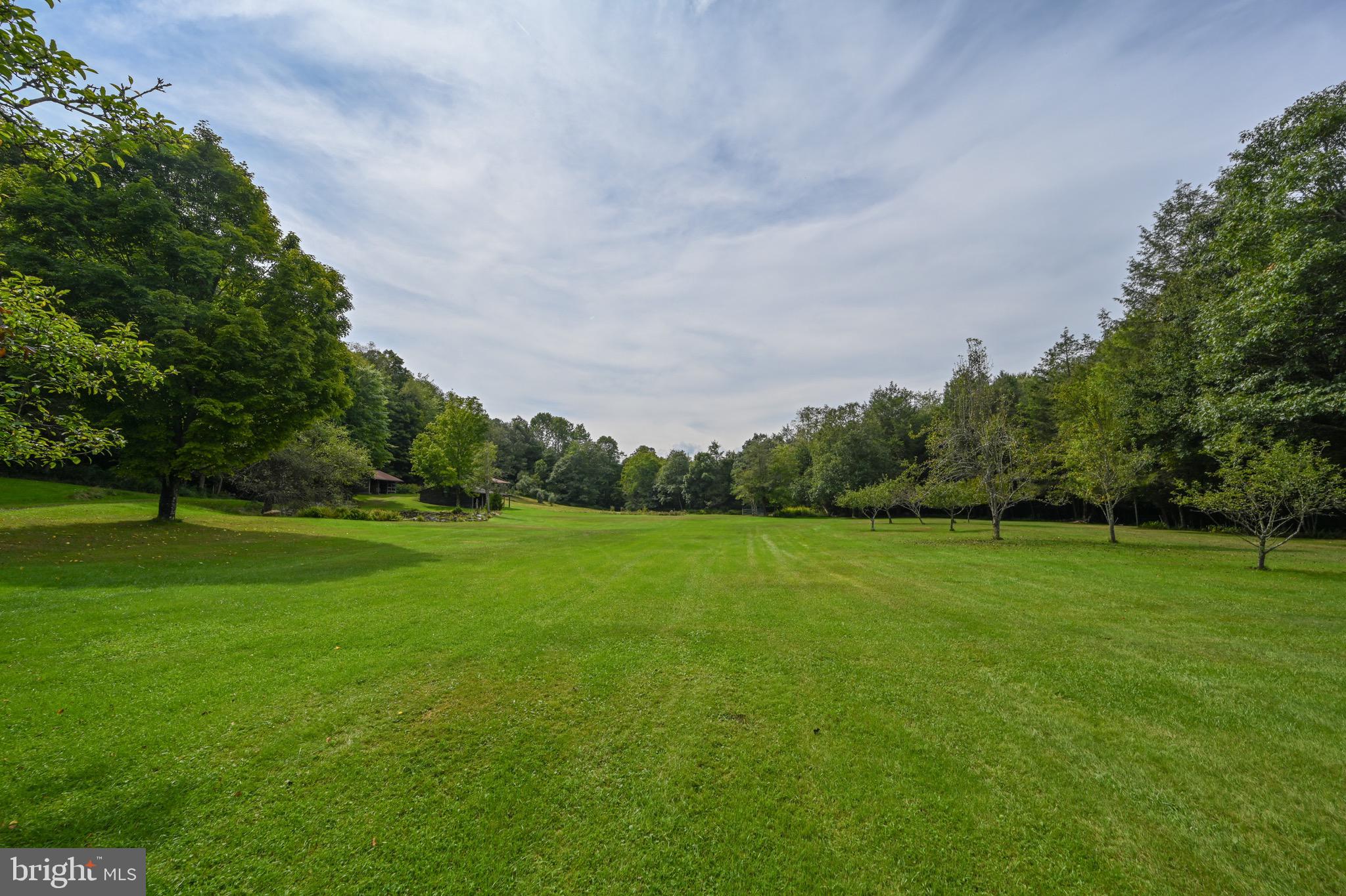 2527 Pigs Ear Road Grantsville, MD 21536 - Photo 62 of 94 a view of field with tall trees