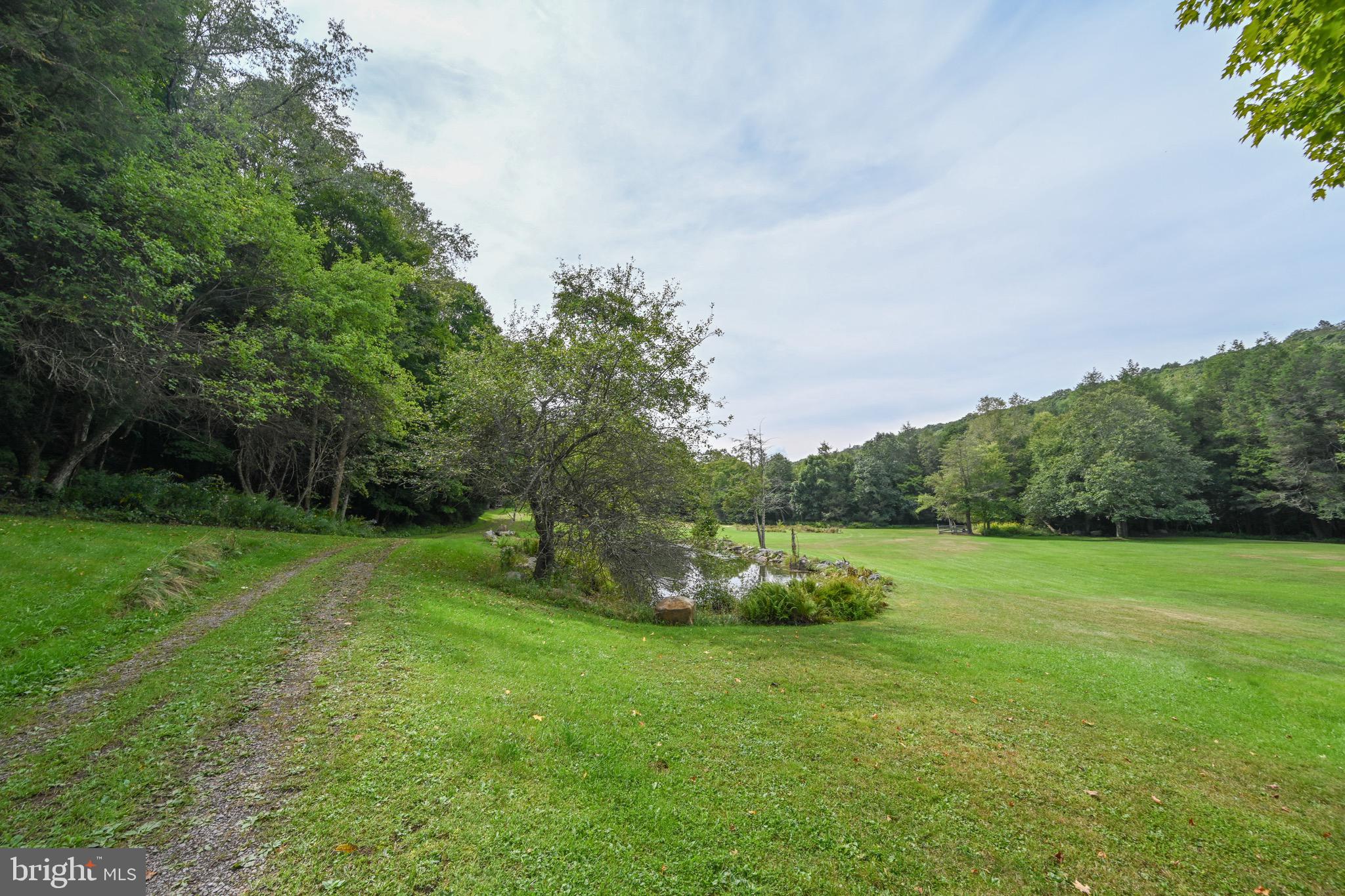 2527 Pigs Ear Road Grantsville, MD 21536 - Photo 63 of 94 a view of a field with a tree in the background