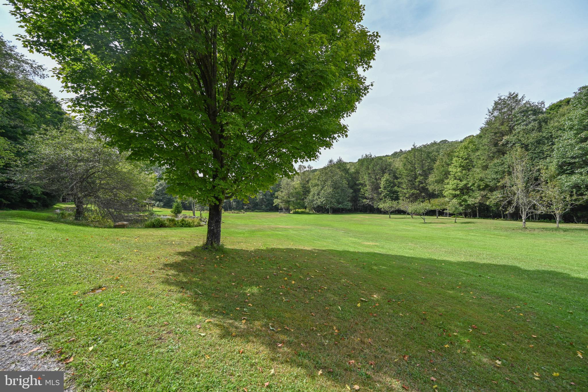 2527 Pigs Ear Road Grantsville, MD 21536 - Photo 74 of 94 a view of a trees with a yard