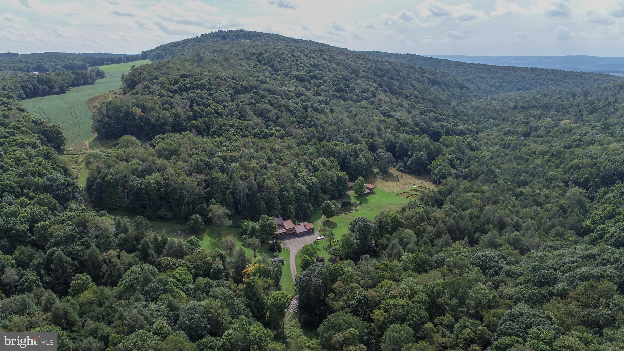 2527 Pigs Ear Road Grantsville, MD 21536 - Photo 80 of 94 an aerial view of mountain with trees