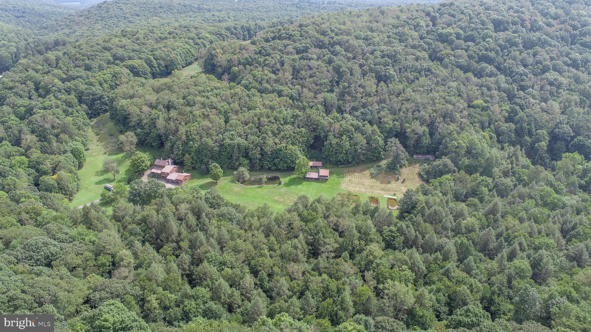 2527 Pigs Ear Road Grantsville, MD 21536 - Photo 85 of 94