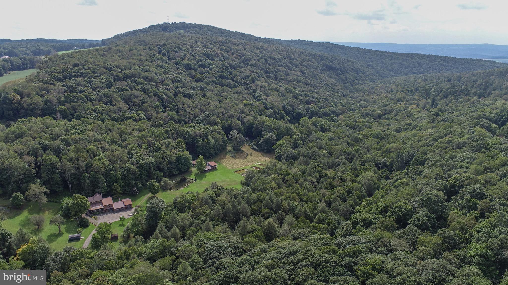 2527 Pigs Ear Road Grantsville, MD 21536 - Photo 86 of 94