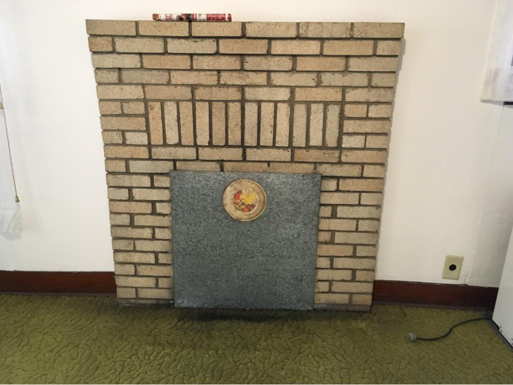 900 West Pines Road Afton, TN 37616 - Photo 11 of 32 Hearth and flue