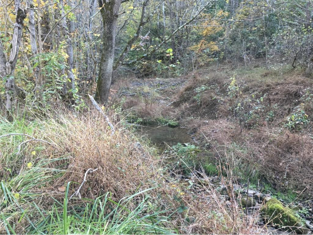 900 West Pines Road Afton, TN 37616 - Photo 23 of 32 Photo 24