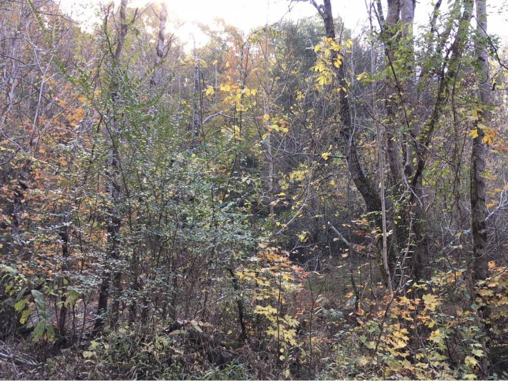 900 West Pines Road Afton, TN 37616 - Photo 25 of 32 Photo 26