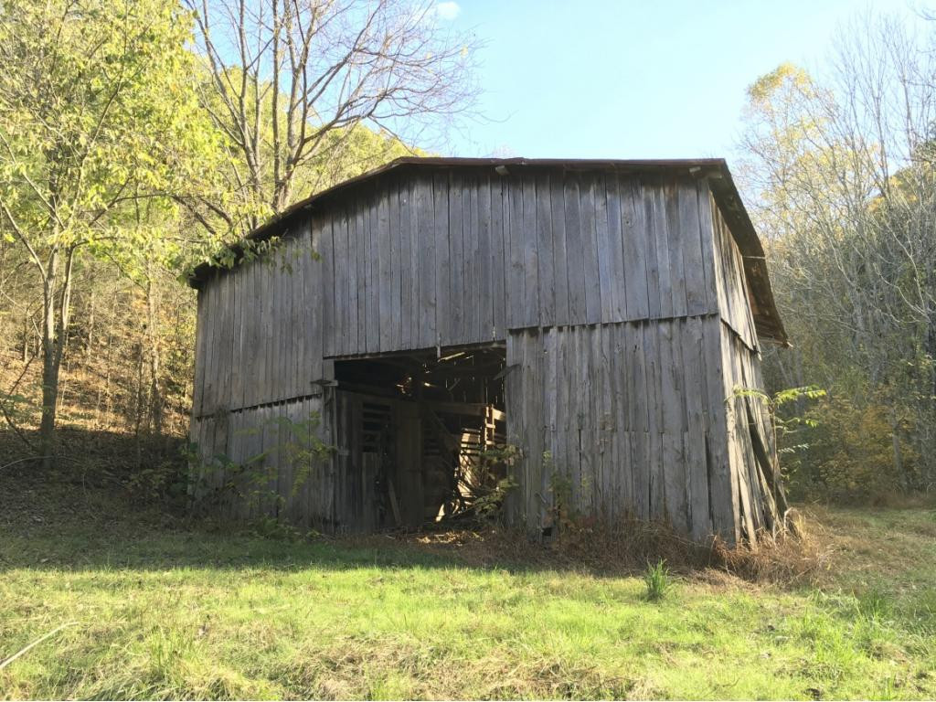 900 West Pines Road Afton, TN 37616 - Photo 3 of 32 Barn
