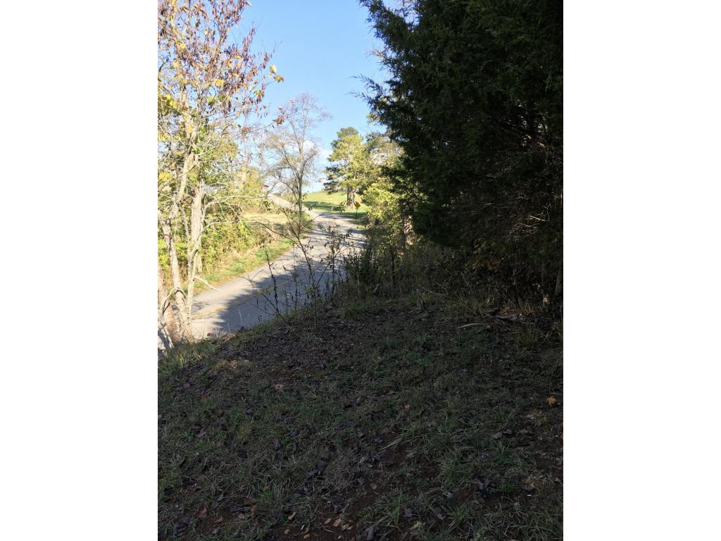900 West Pines Road Afton, TN 37616 - Photo 32 of 32 Photo 33