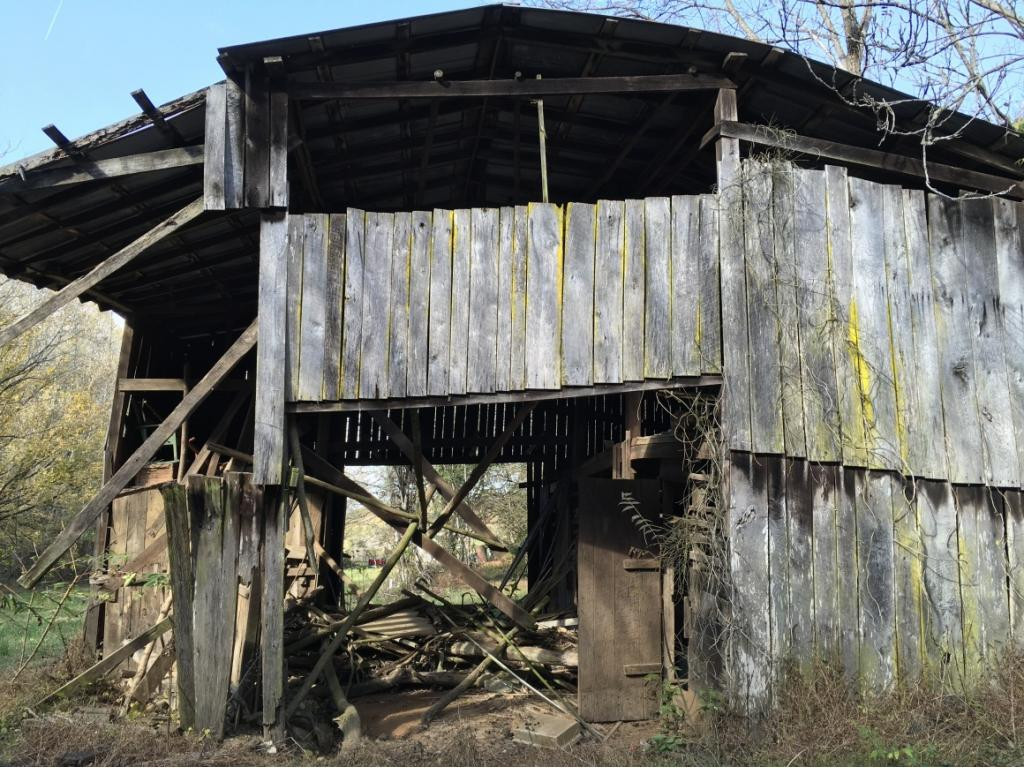 900 West Pines Road Afton, TN 37616 - Photo 4 of 32 Barn