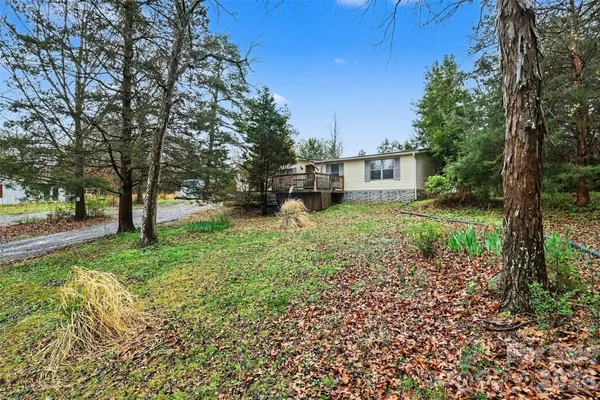 a view of a yard with plants and trees
