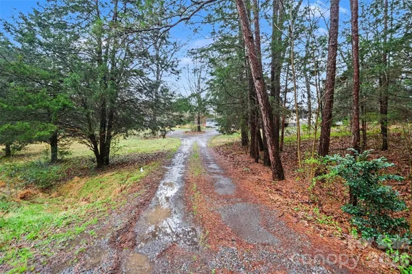 a view of backyard with green space
