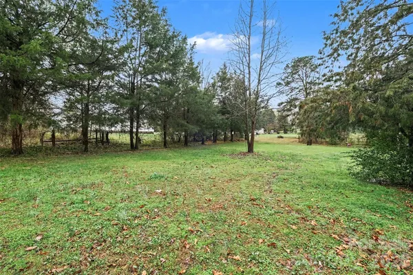 a view of green field