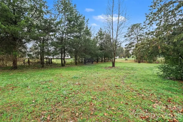 a view of yard with grass and trees