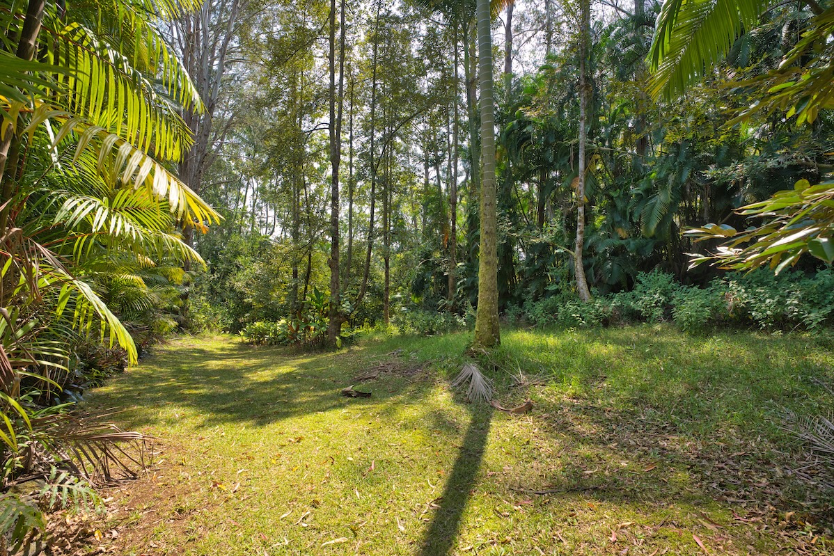 29-545 Chin Chuck Road Hakalau, HI 96781 - Photo 11 of 30