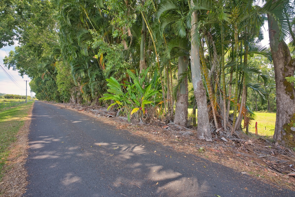 29-545 Chin Chuck Road Hakalau, HI 96781 - Photo 12 of 30