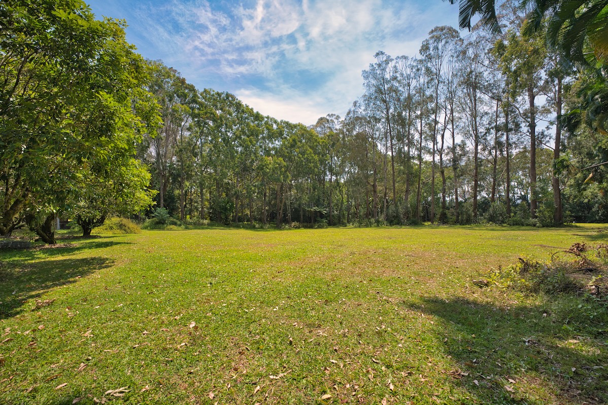 29-545 Chin Chuck Road Hakalau, HI 96781 - Photo 13 of 30