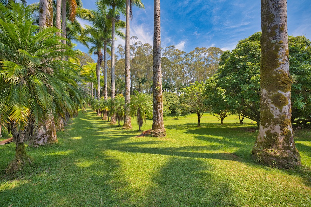 29-545 Chin Chuck Road Hakalau, HI 96781 - Photo 25 of 30