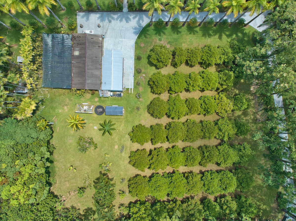 29-545 Chin Chuck Road Hakalau, HI 96781 - Photo 26 of 30