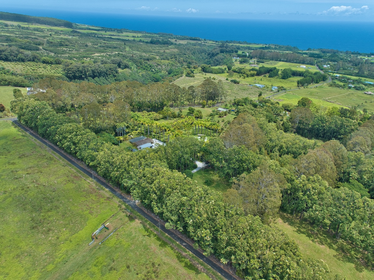 29-545 Chin Chuck Road Hakalau, HI 96781 - Photo 27 of 30