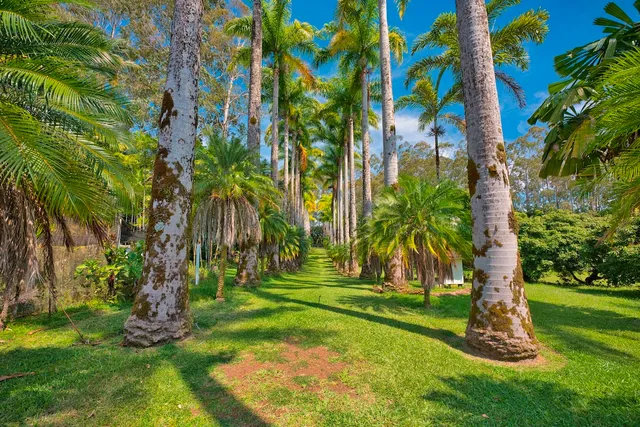 $1,700,000 | 29-545 Chin Chuck Road, Hakalau, HI 96781