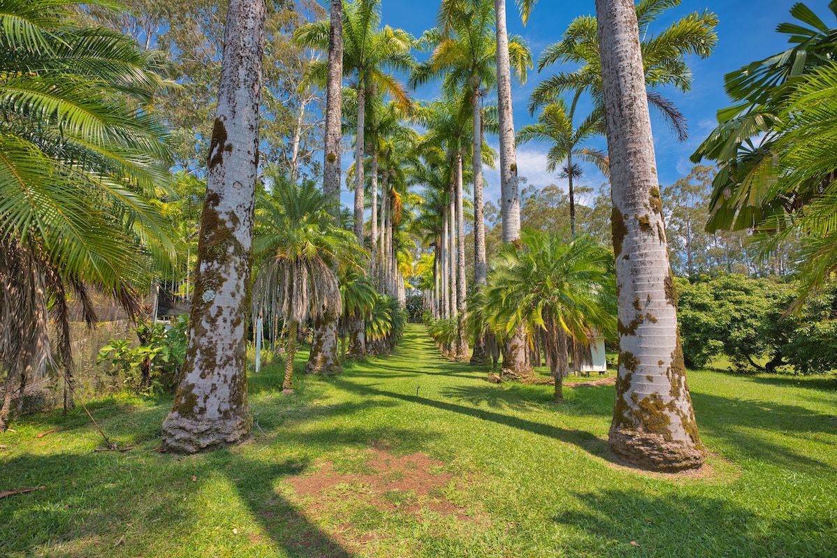 29-545 Chin Chuck Road Hakalau, HI 96781 - Photo 3 of 30