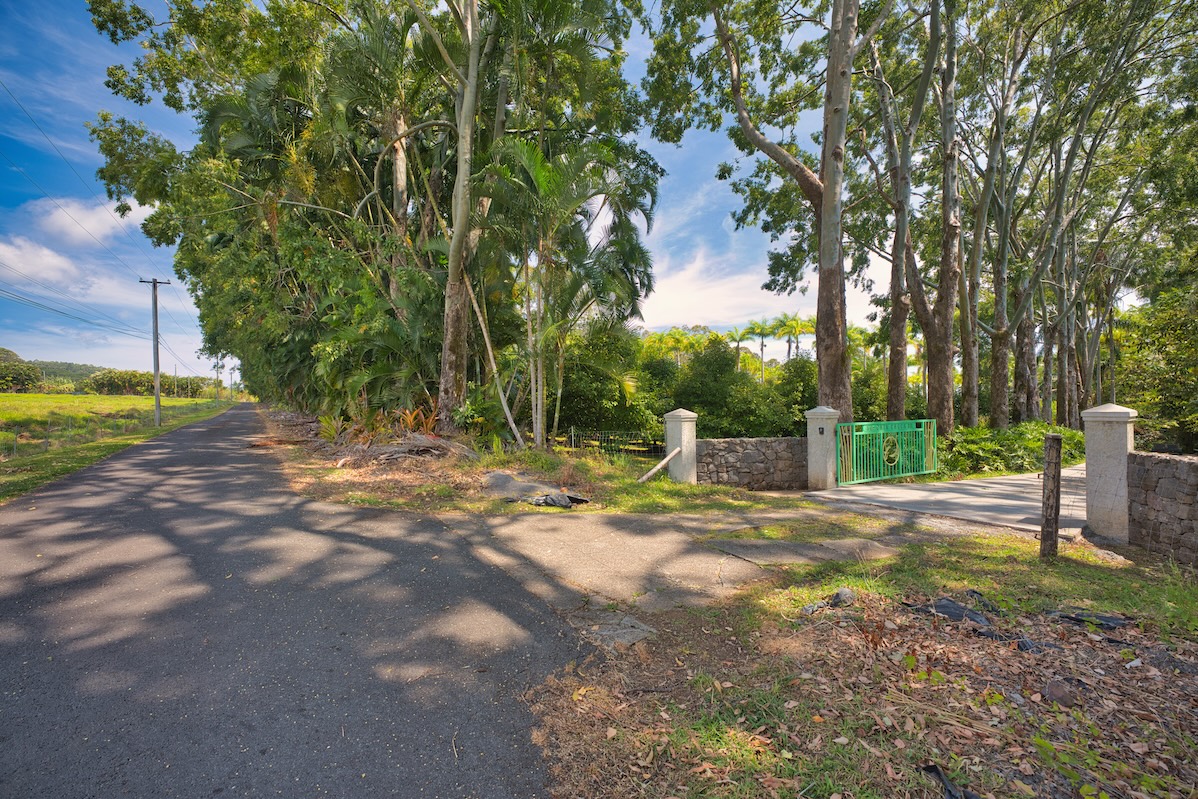 29-545 Chin Chuck Road Hakalau, HI 96781 - Photo 4 of 30