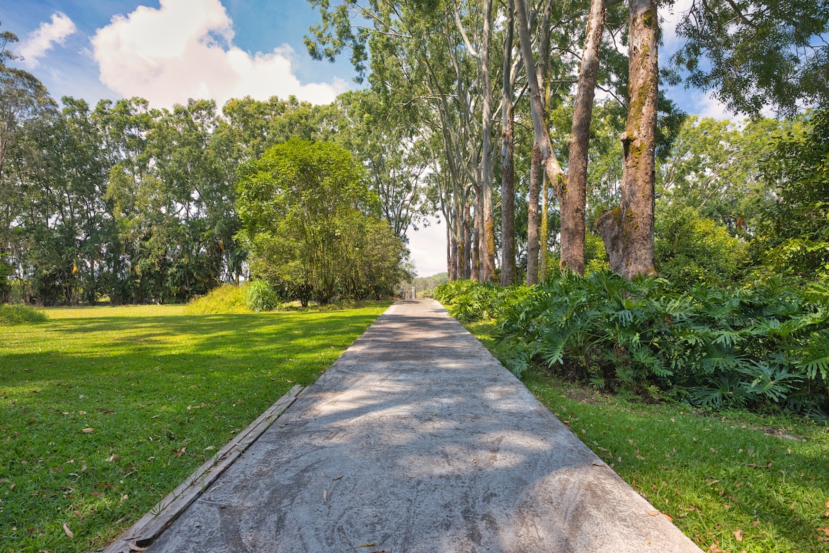 29-545 Chin Chuck Road Hakalau, HI 96781 - Photo 10 of 30