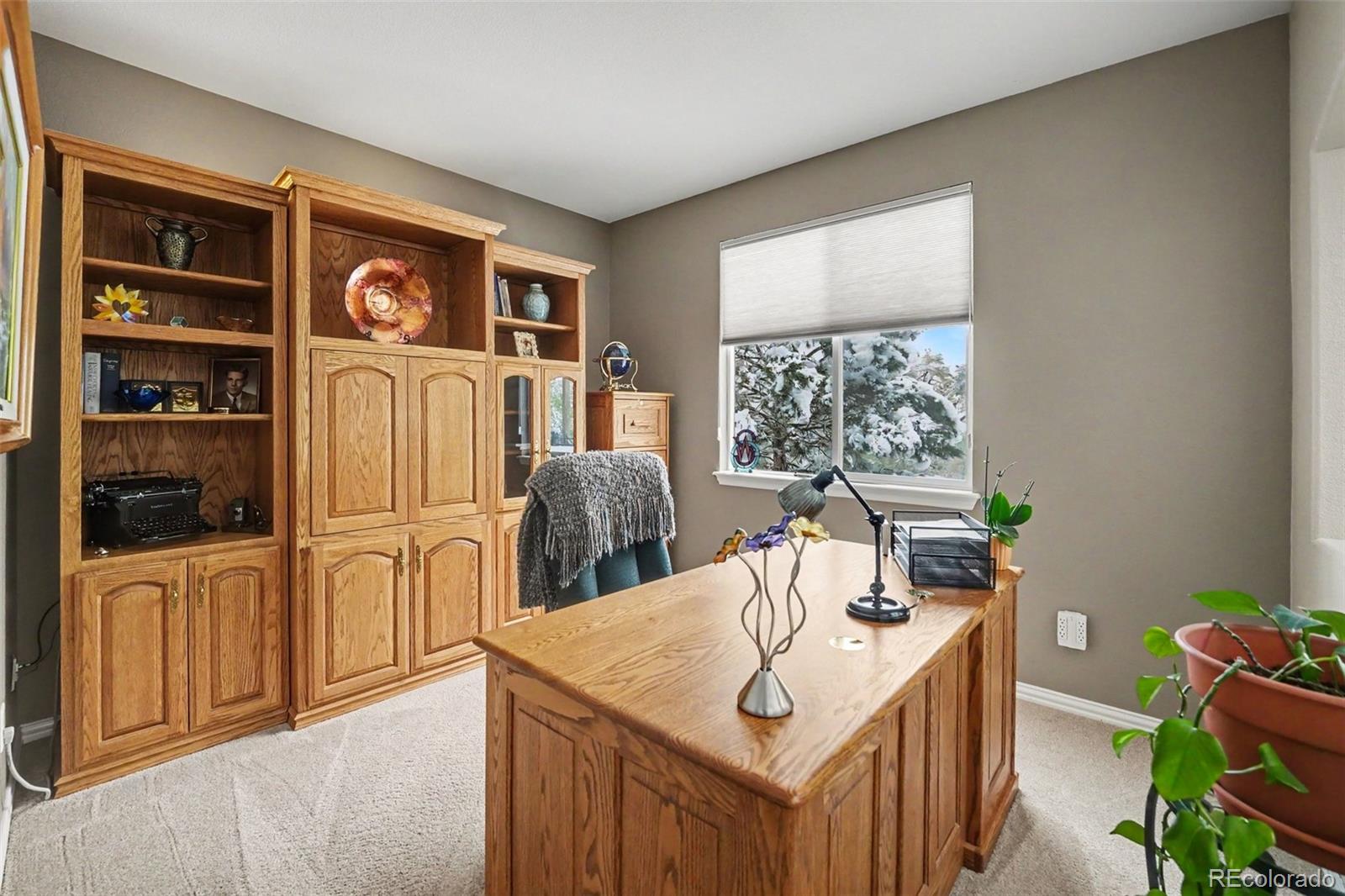 3307 Sturbridge Drive Highlands Ranch, CO 80129 - Photo 18 of 49