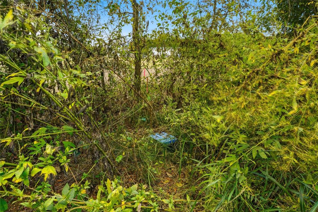 1016 Ross Road Ross, TX 76640 - Photo 12 of 18 a view of a tree