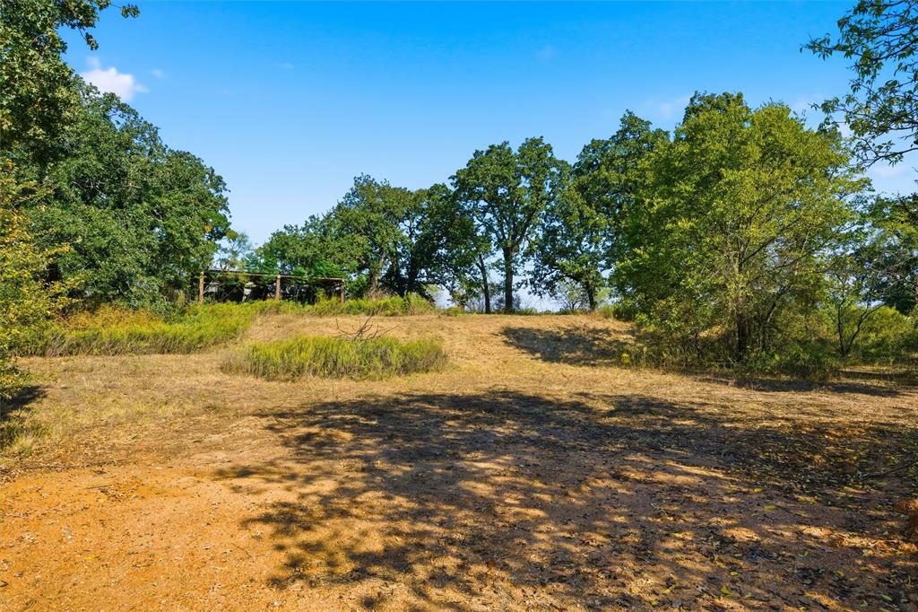 1016 Ross Road Ross, TX 76640 - Photo 16 of 18 a view of yard with trees