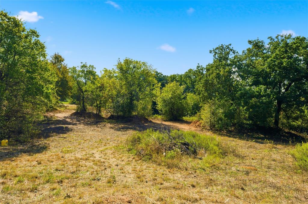 1016 Ross Road Ross, TX 76640 - Photo 3 of 18 a yard with a trees in the background