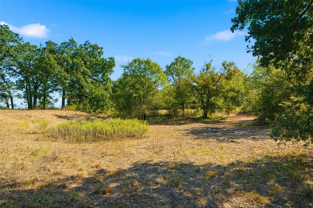 1016 Ross Road Ross, TX 76640 - Photo 5 of 18 a view of yard with green space