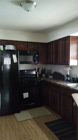 2128 Pleasure View Road Aurora, IL 60506 - Photo 4 of 10 a kitchen with a sink and cabinets