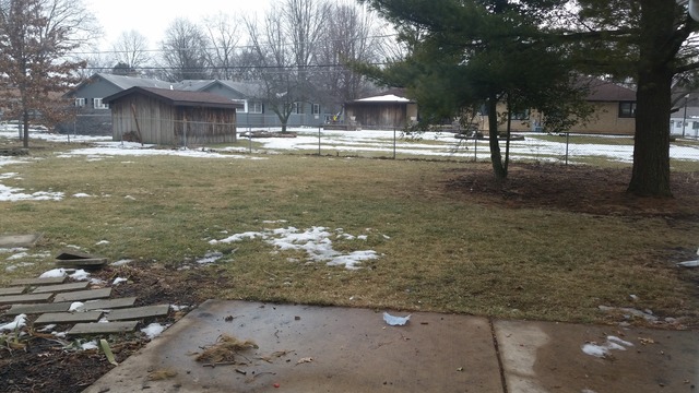 2128 Pleasure View Road Aurora, IL 60506 - Photo 10 of 10 a view of a yard with a tree