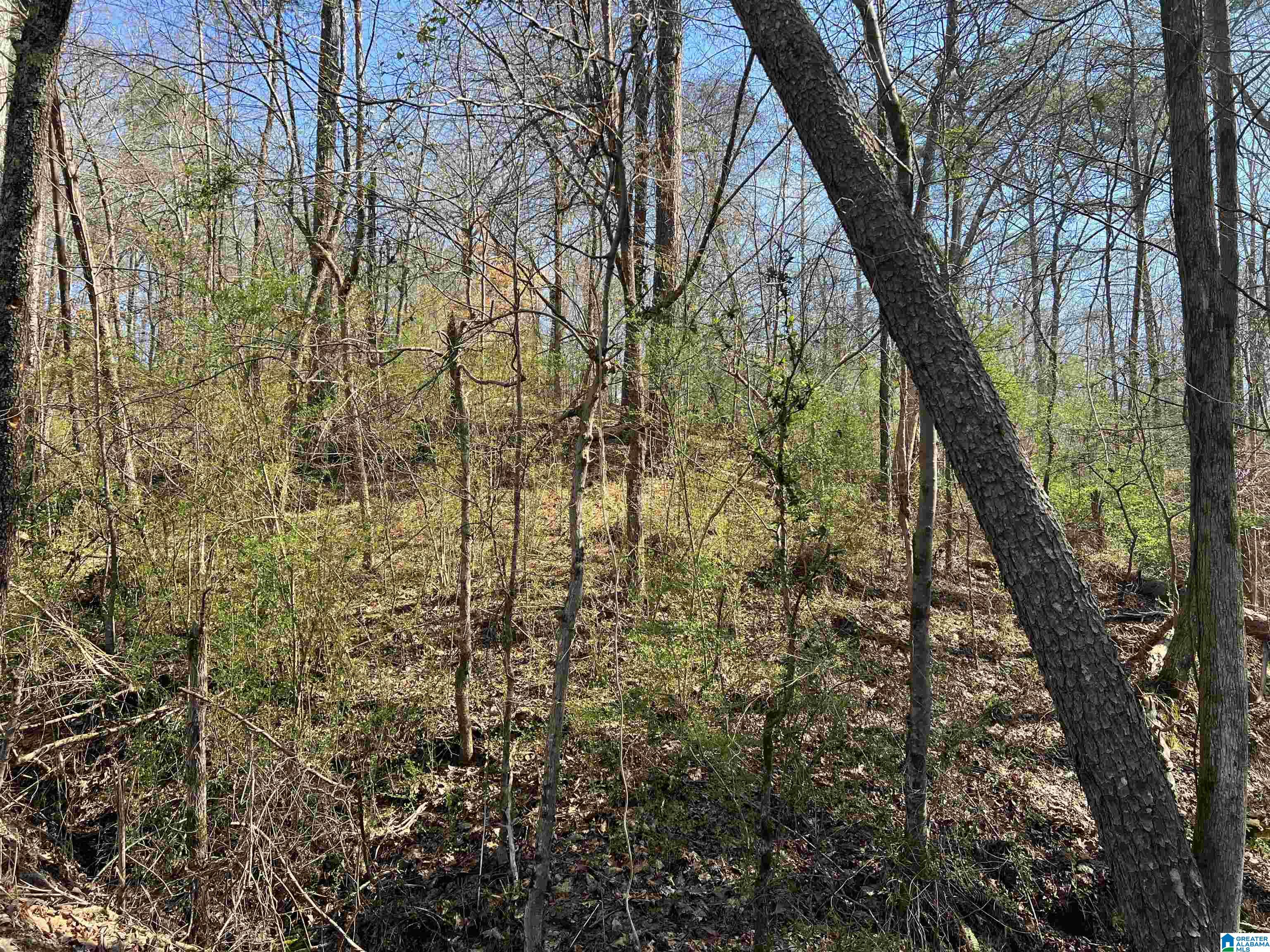 0 Lakeshore Lane, Unit 4 Oneonta, AL 35121 - Photo 35 of 49
