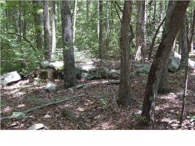 20 Yankee Road Cloudland, GA 30731 - Photo 2 of 8 Additional Photo