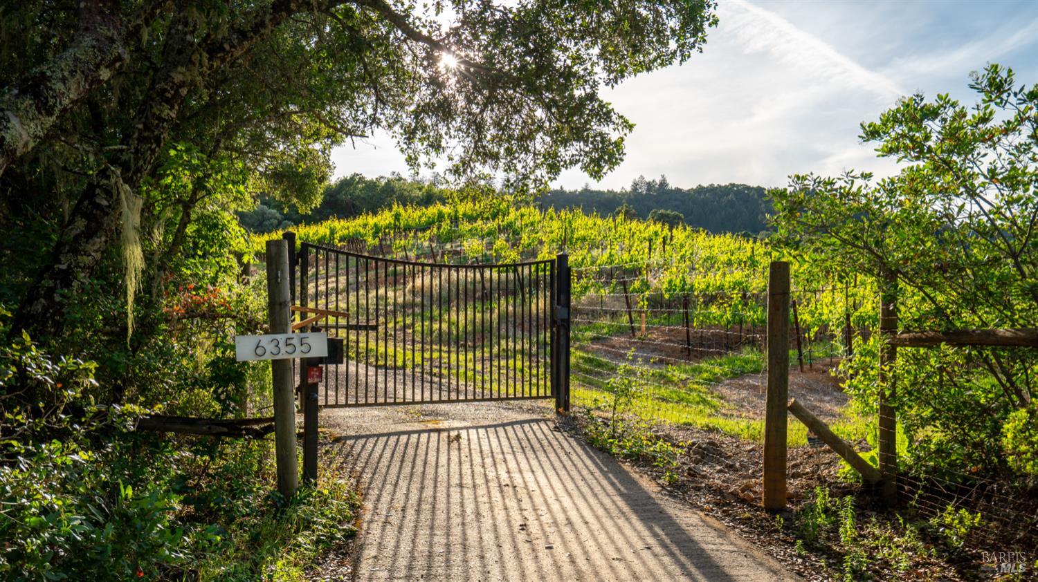 6355 Mountain View Ranch Road Healdsburg, CA 95448 - Photo 65 of 66