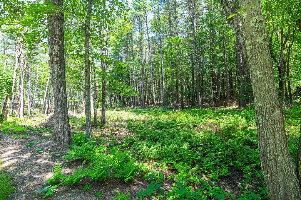 331 North Pond Road Chester, NH 03036 - Photo 30 of 40