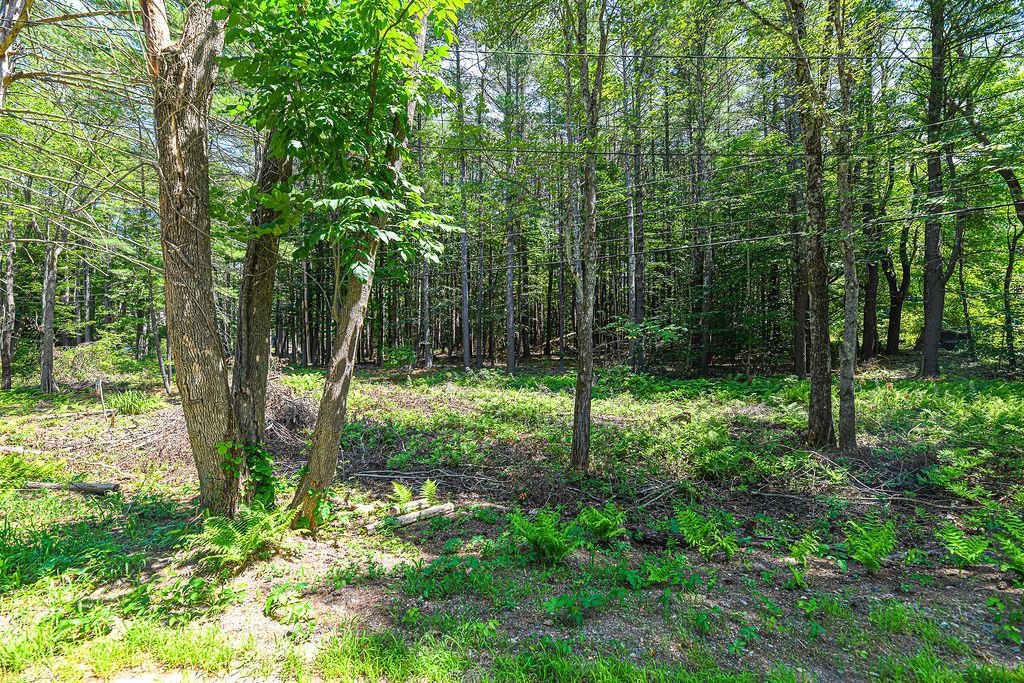 331 North Pond Road Chester, NH 03036 - Photo 31 of 40