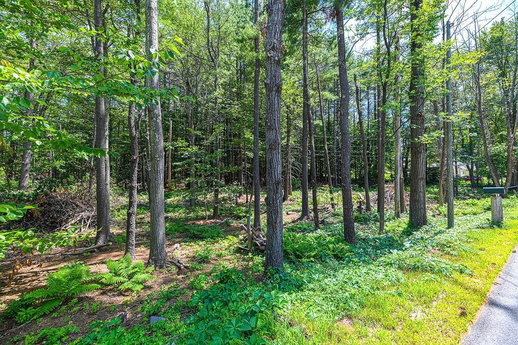 331 North Pond Road Chester, NH 03036 - Photo 32 of 40