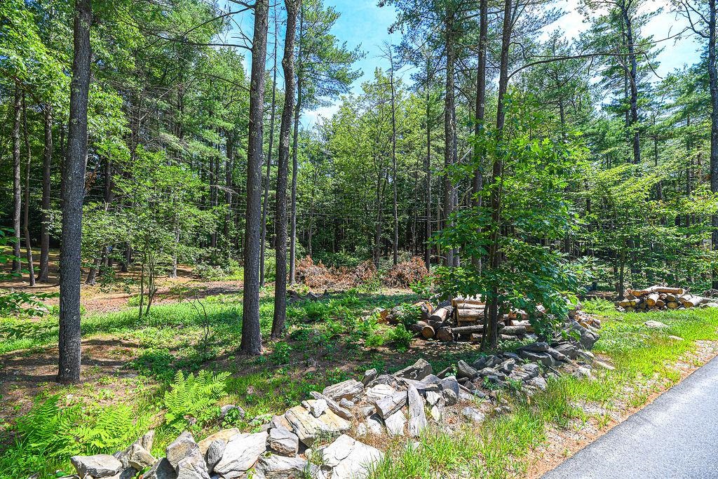 331 North Pond Road Chester, NH 03036 - Photo 33 of 40