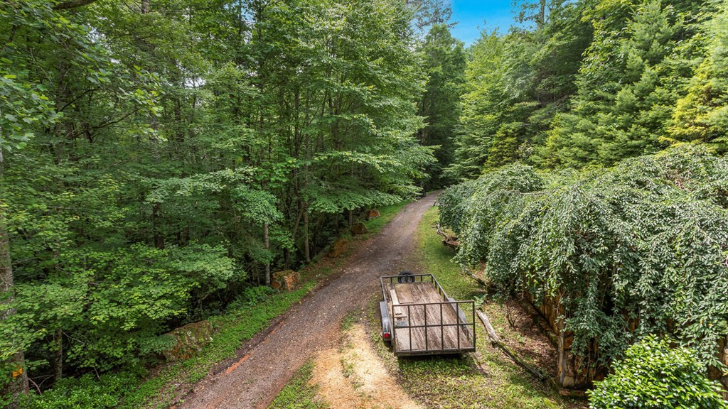 545 Bear Paw Church Road Murphy, NC 28906 - Photo 23 of 99 Gallery Image 23