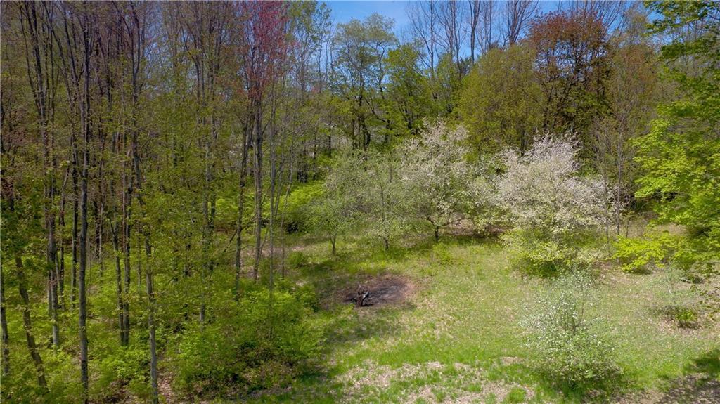 456 West Lebanon Road Lebanon, ME 04027 - Photo 25 of 34 This Spring view from the back deck...