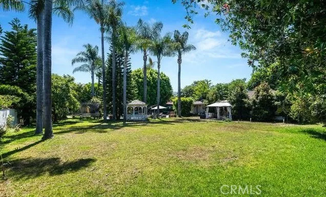 a view of a swimming pool and trees in the background