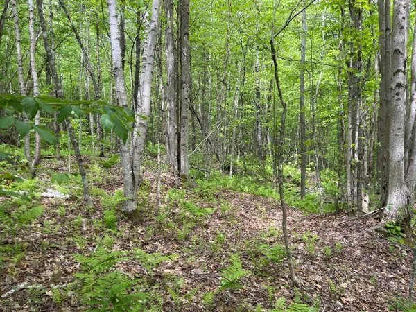 $140,000 | Dole School House Road, Washington, NH 03280