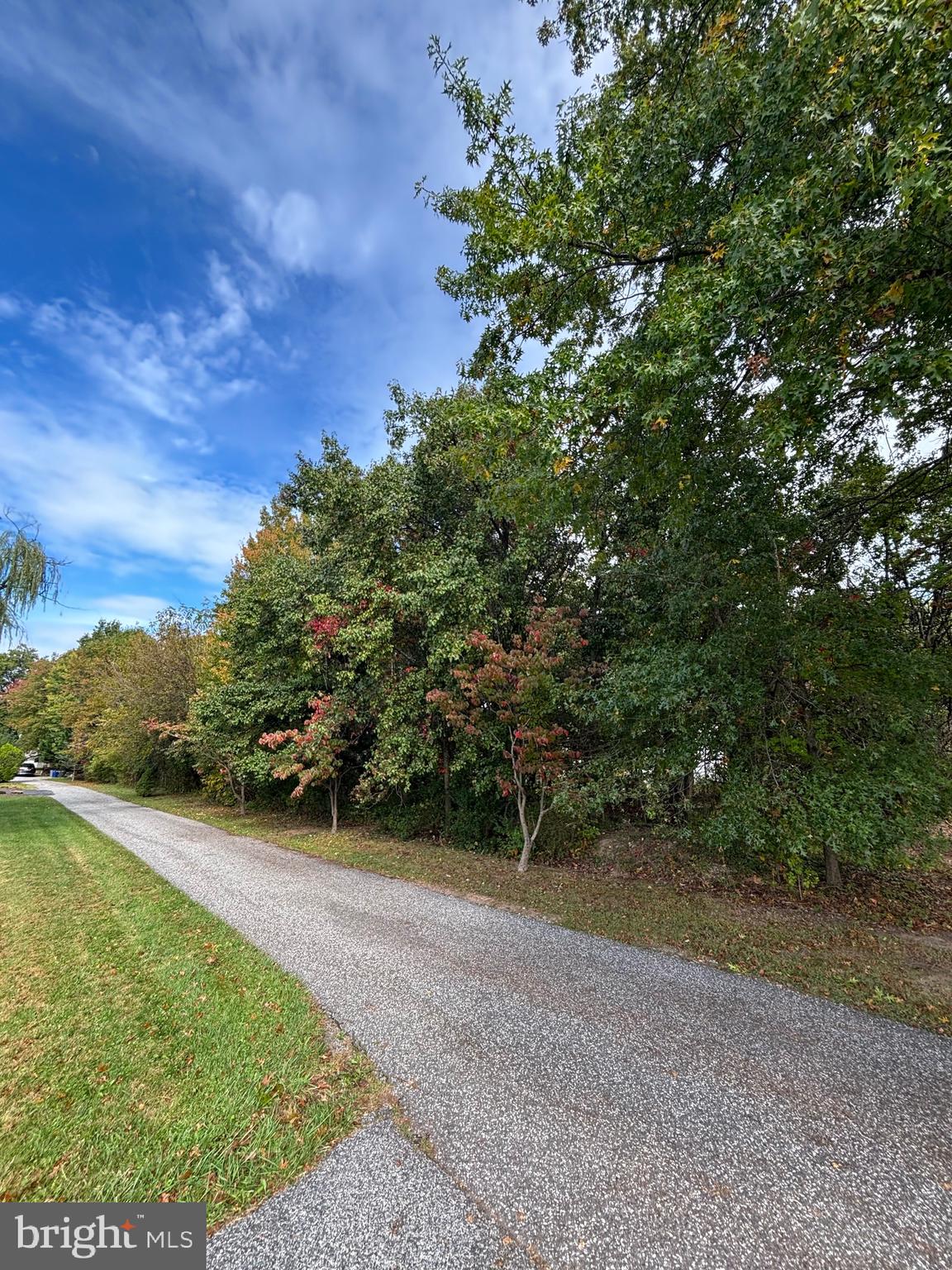 Joppa Road Perry Hall, MD 21128 - Photo 7 of 12 a view of a yard with a tree