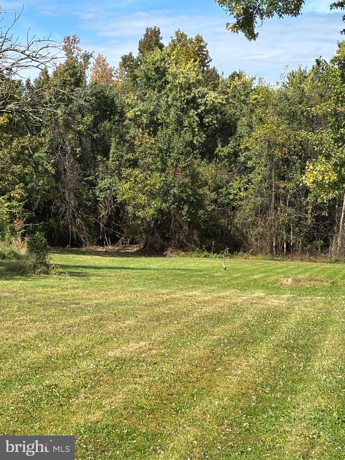 Joppa Road Perry Hall, MD 21128 - Photo 8 of 12 a view of a yard