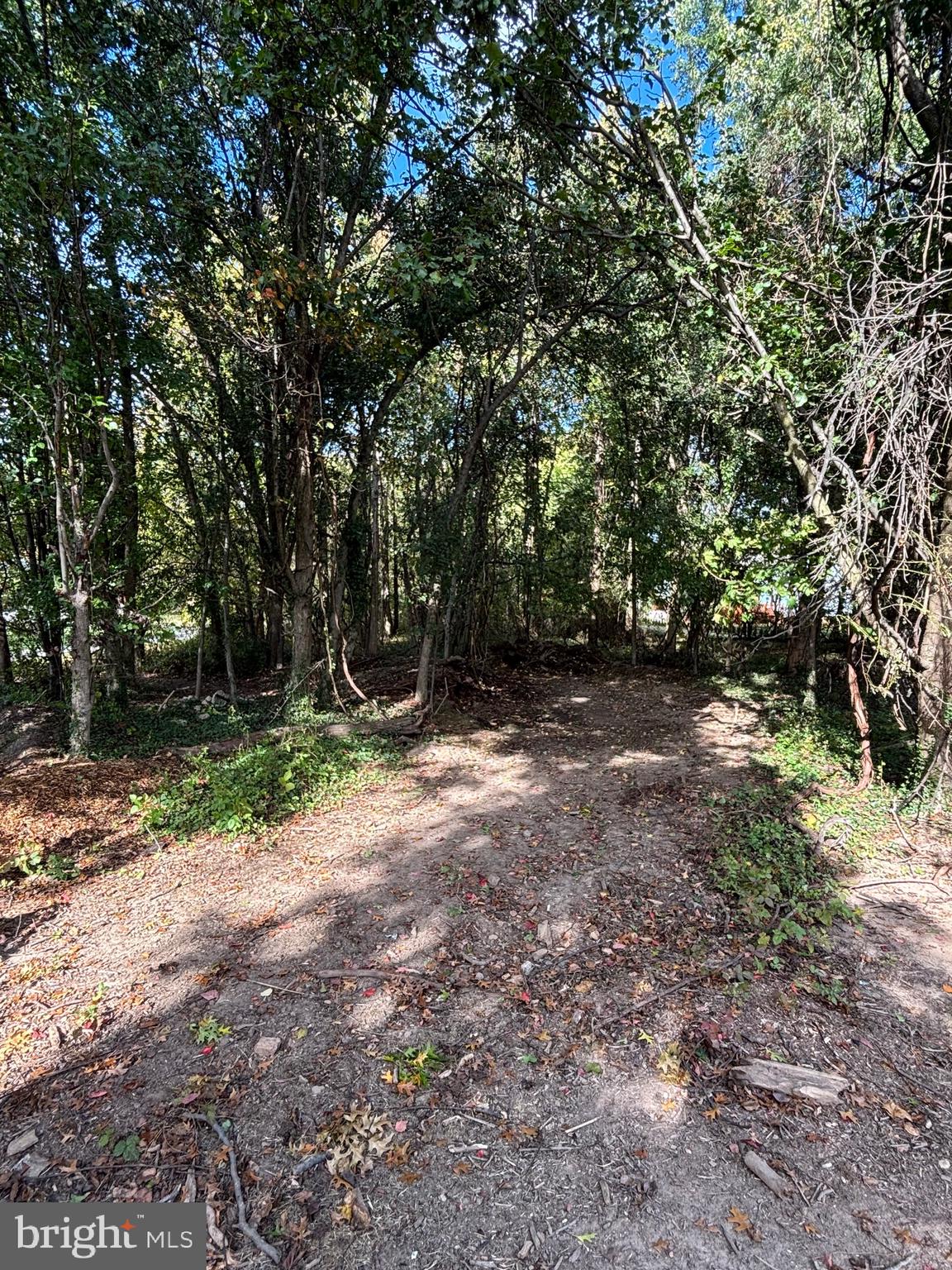 Joppa Road Perry Hall, MD 21128 - Photo 10 of 12 a view of a forest with trees in the background