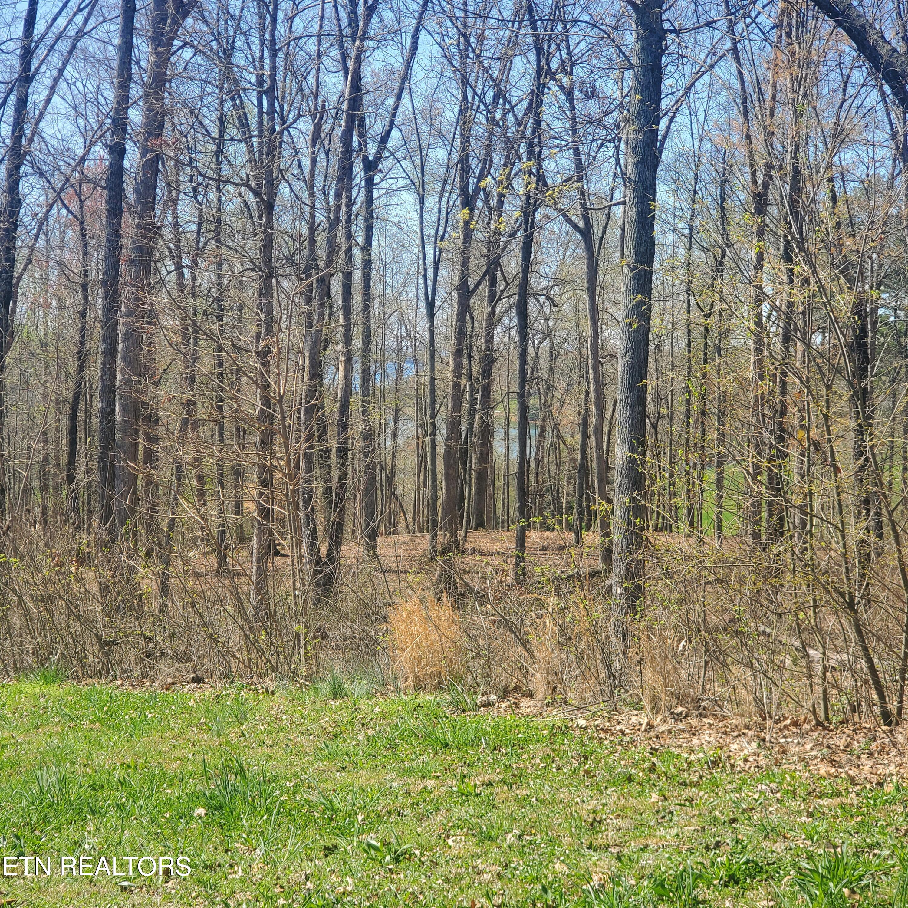 Lot 136 Tumbleweed Trail Rutledge, TN 37861 - Photo 1 of 26 Lot 136 Tumbleweed Trl - 2